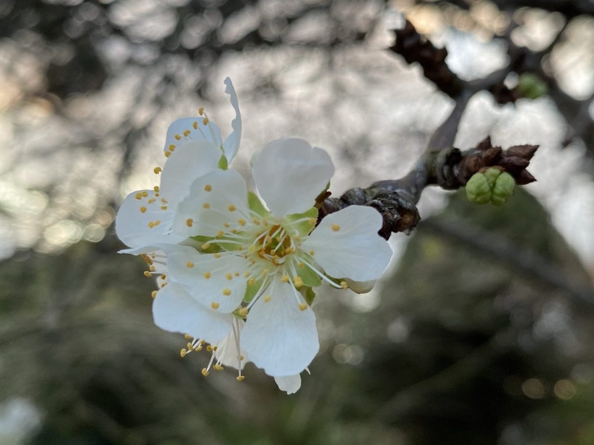 A change in&nbsp;seasons