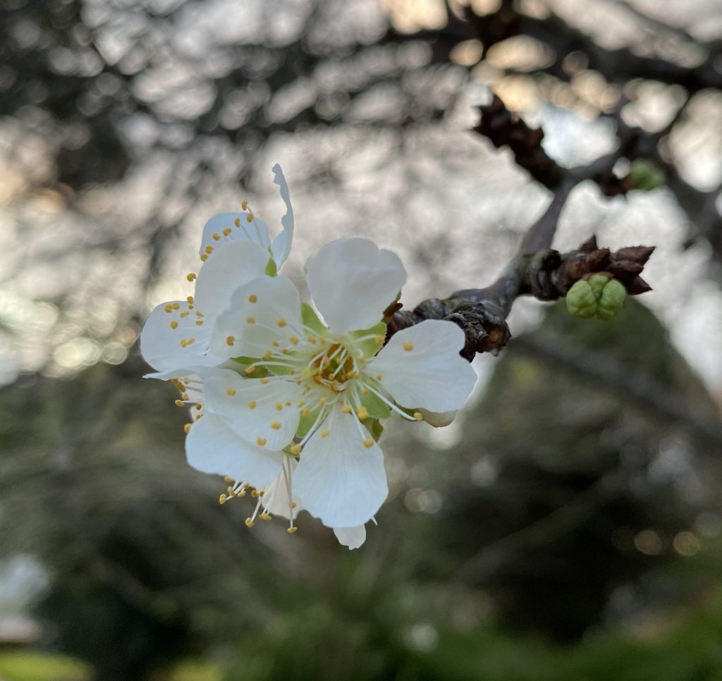 A change in&nbsp;seasons