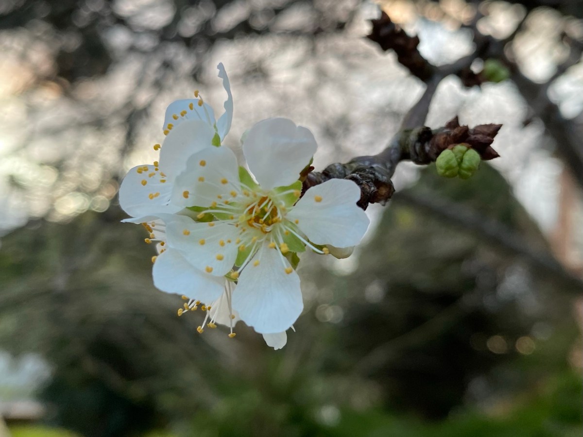 A change in&nbsp;seasons